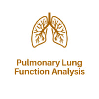 Pulmonary Lung Function Analysis